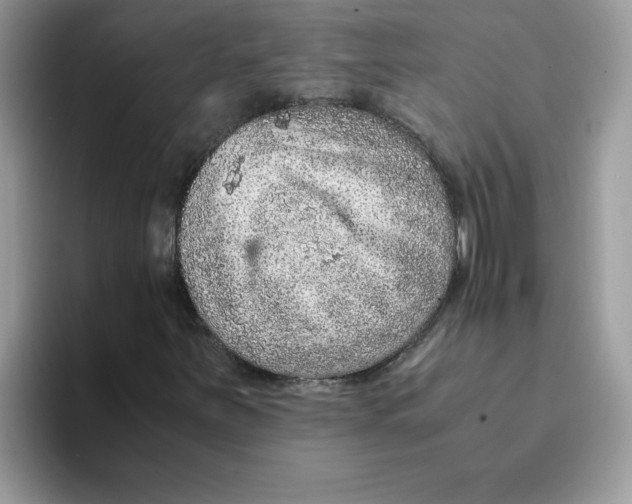 X0000093431251200711091429