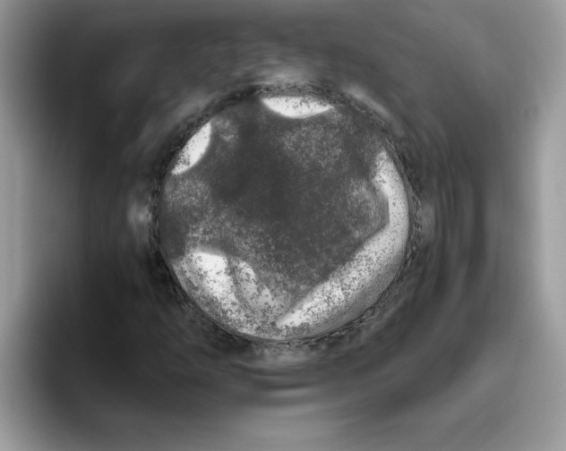 X0000093431254200711091429