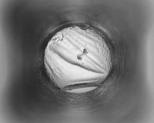 X0000093431255200711091429