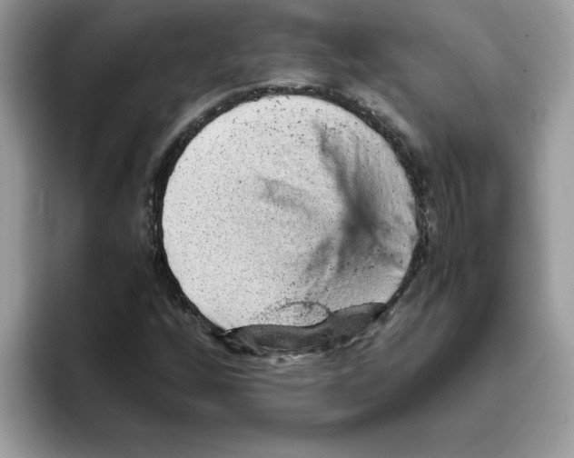 X0000093431256200711091429