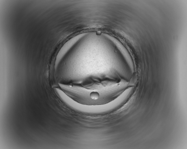 X0000093431257200711091429