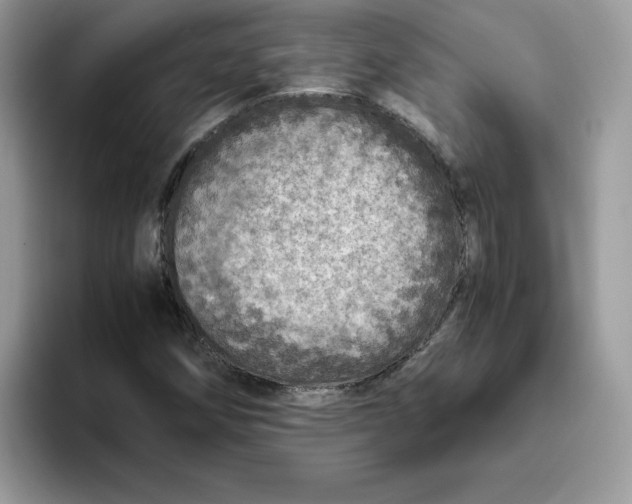 X0000093431258200711091429