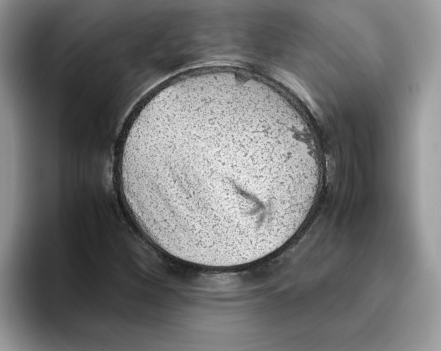 X0000093431260200711091429