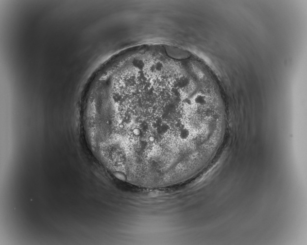 X0000093431263200711091429