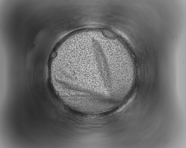 X0000093431267200711091429