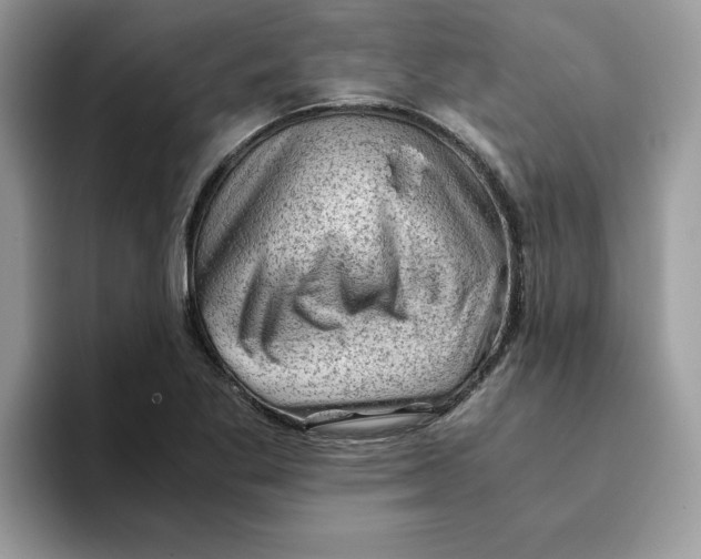 X0000093431269200711091429