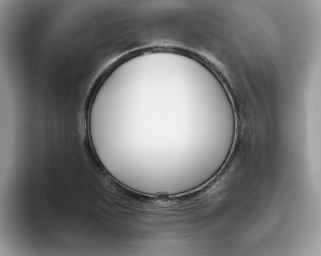 X0000093431271200711091429