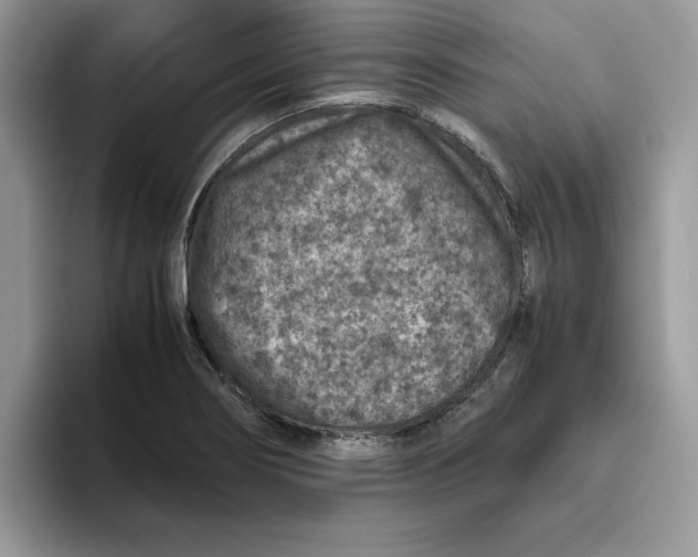 X0000093431274200711091429