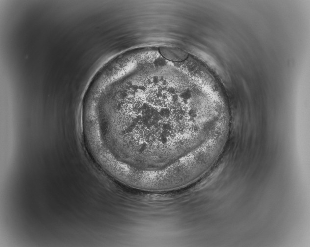 X0000093431275200711091429