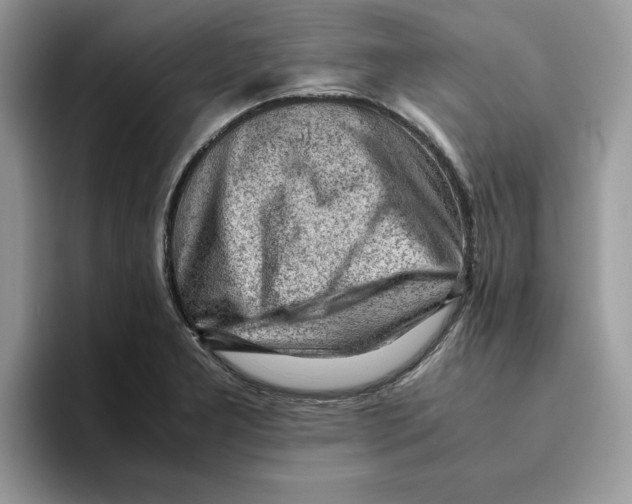 X0000093431277200711091429