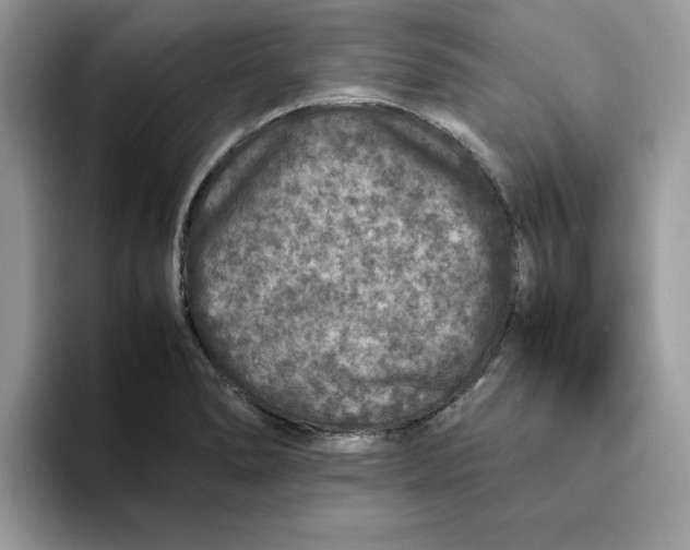 X0000093431278200711091429