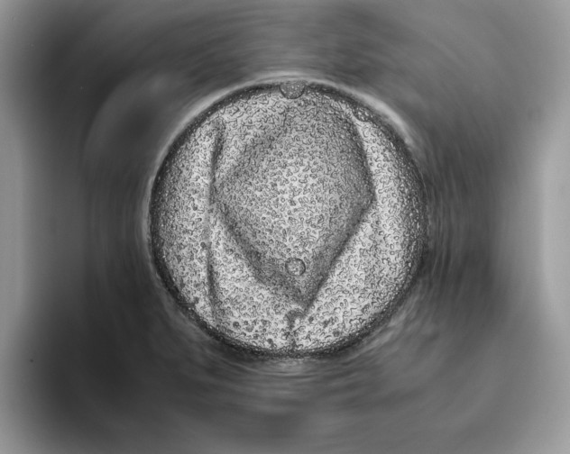X0000093431279200711091429