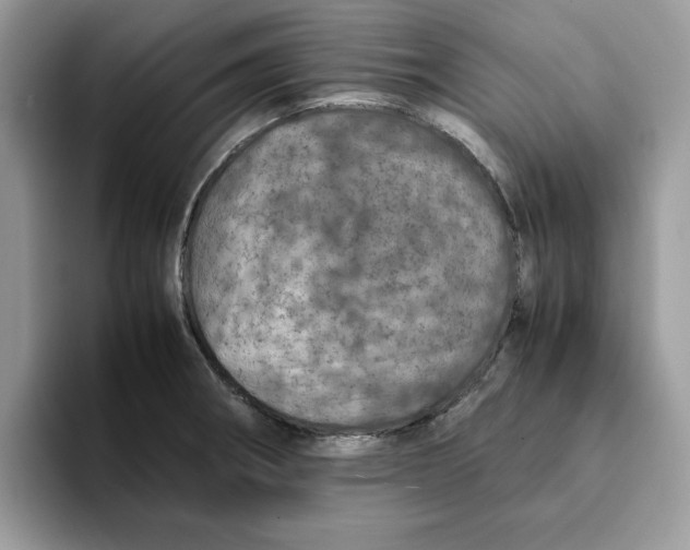 X0000093431282200711091429