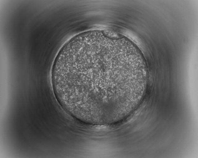 X0000093431283200711091429