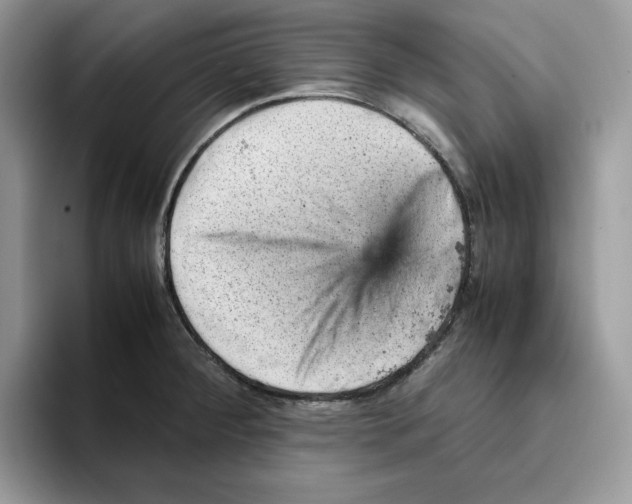 X0000093431284200711091429