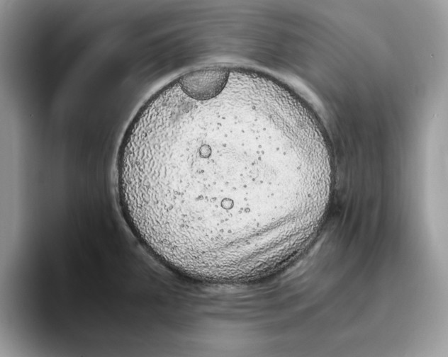 X0000093431287200711091429