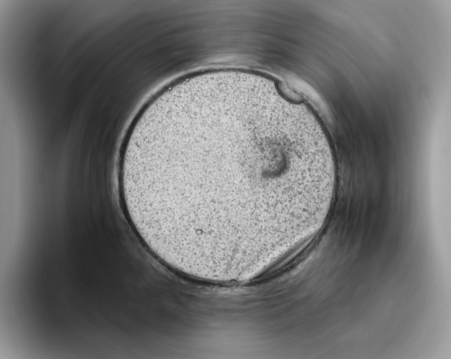 X0000093431288200711091429