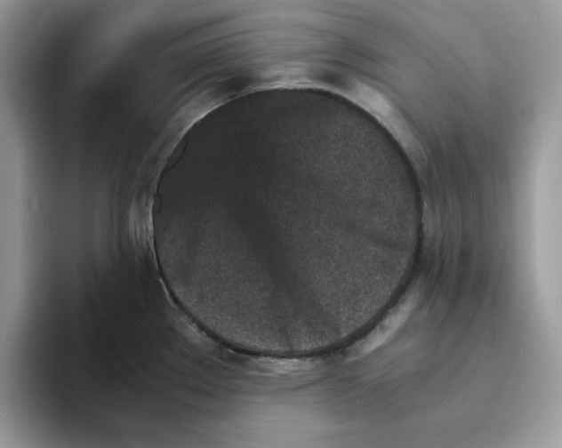 X0000093431289200711091429