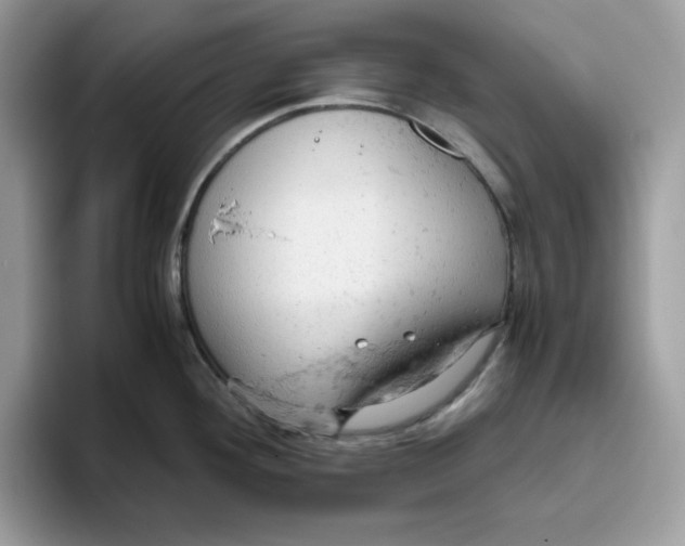 X0000093431292200711091429