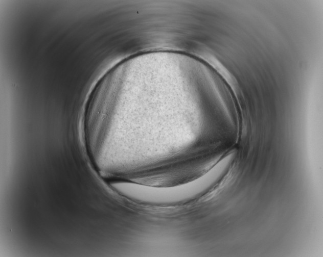 X0000093431293200711091429