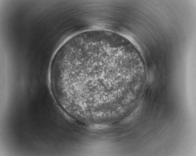 X0000093431294200711091429