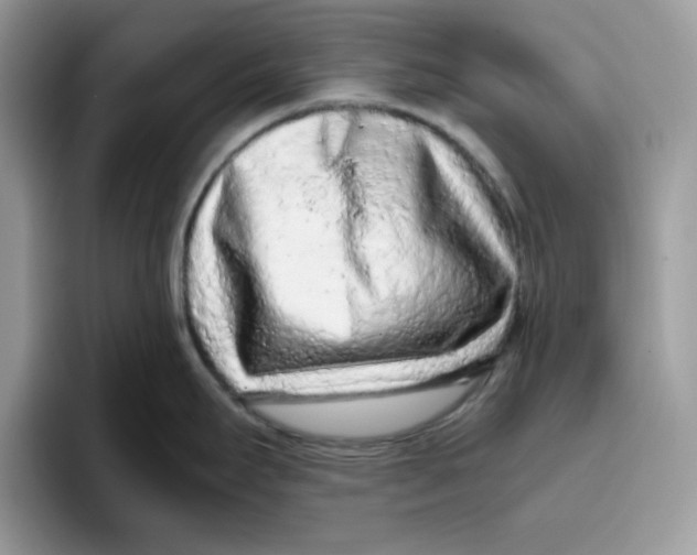 X0000093431295200711091429