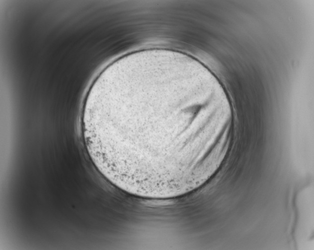 X0000093431296200711091429