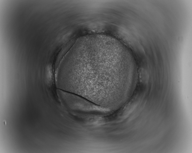 X0000093431298200711091428