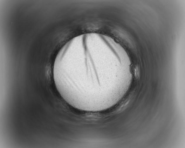 X0000093431299200711091428