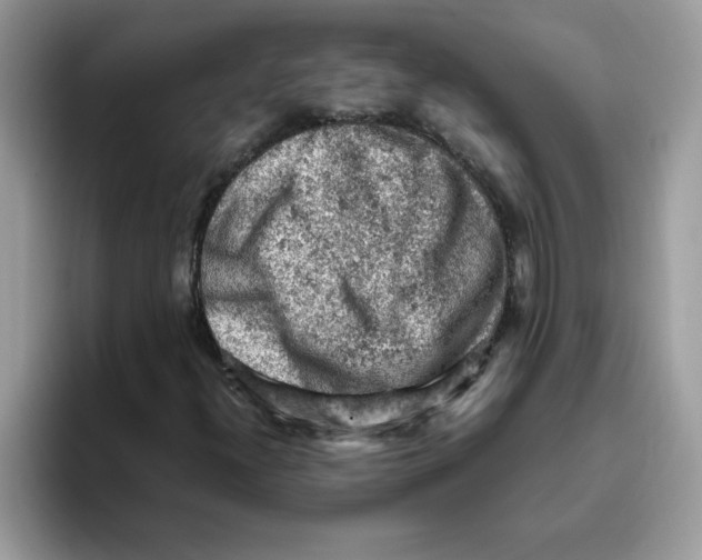 X0000093431300200711091428