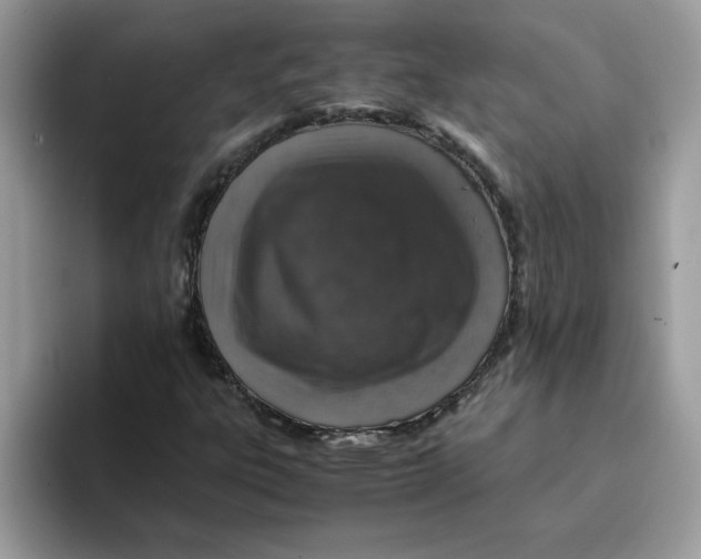 X0000093431303200711091428