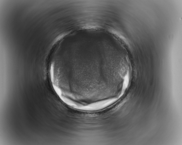 X0000093431306200711091428