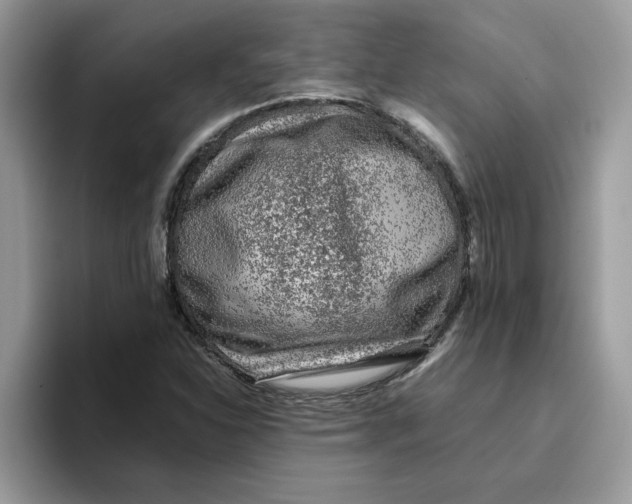 X0000093431310200711091428