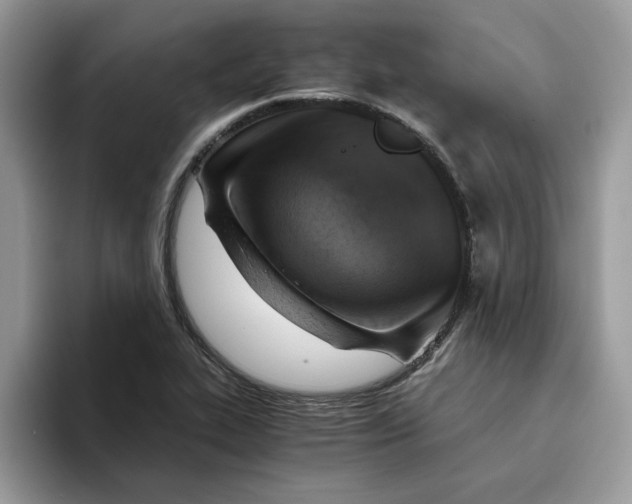 X0000093431319200711091428