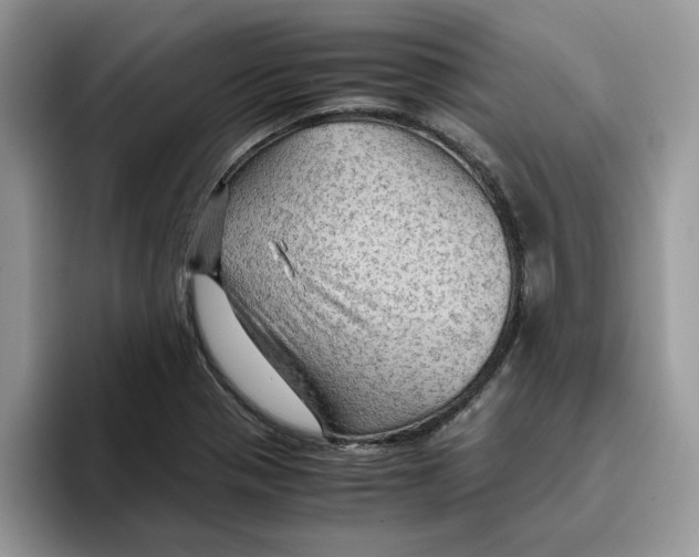 X0000093431321200711091428