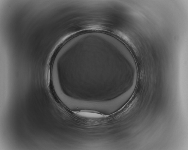 X0000093431323200711091428