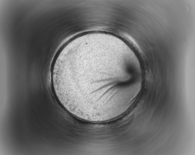 X0000093431324200711091428