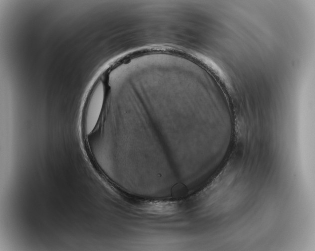 X0000093431327200711091429