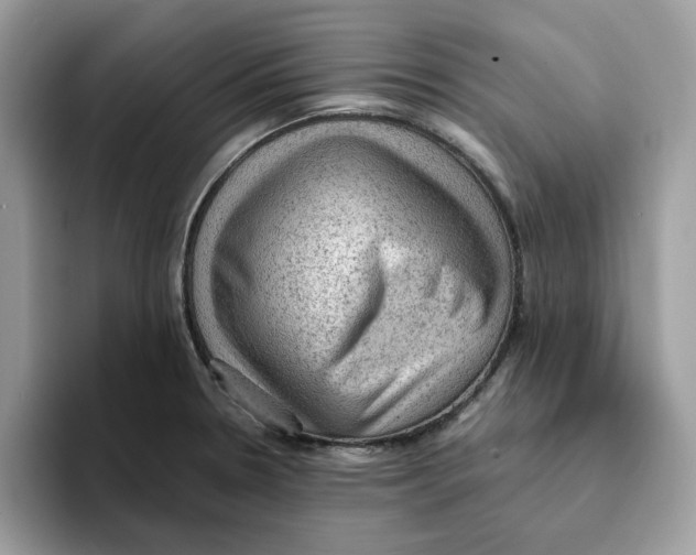 X0000093431330200711091429