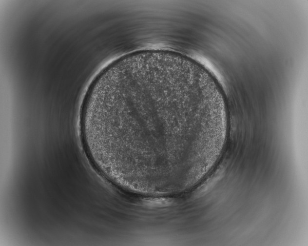 X0000093431331200711091429