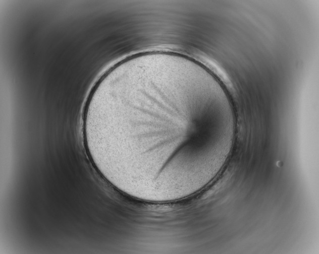 X0000093431332200711091429