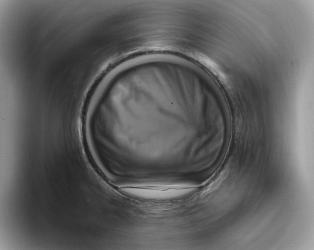 X0000093431334200711091429