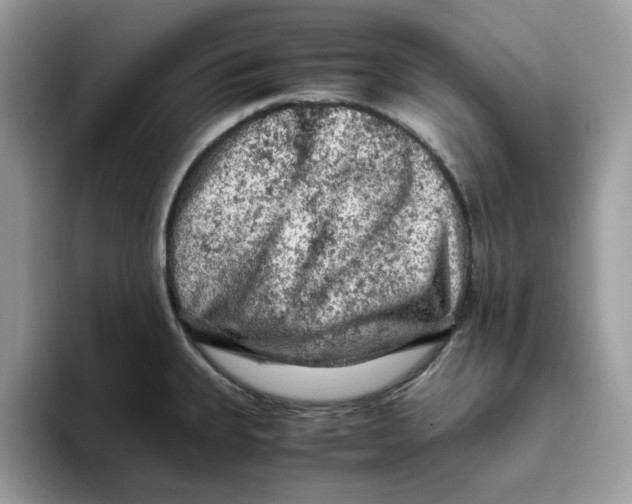 X0000093431335200711091429