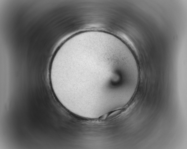 X0000093431336200711091429