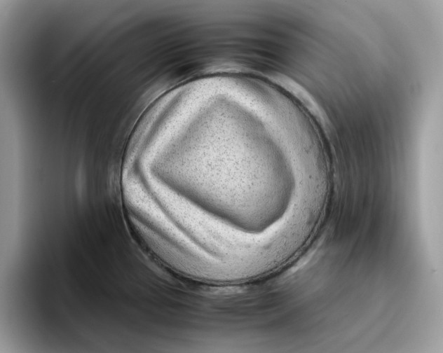 X0000093431337200711091429