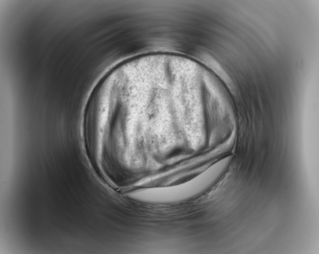 X0000093431339200711091429