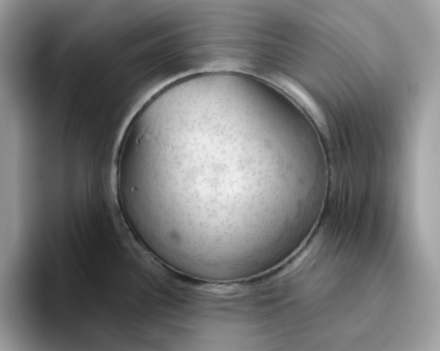 X0000093431340200711091429