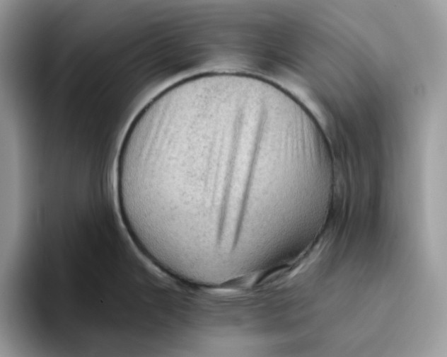 X0000093431343200711091429