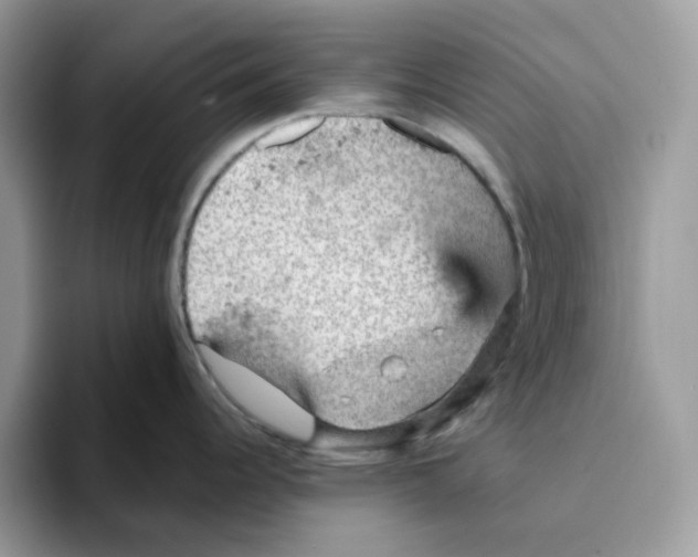 X0000093431344200711091429