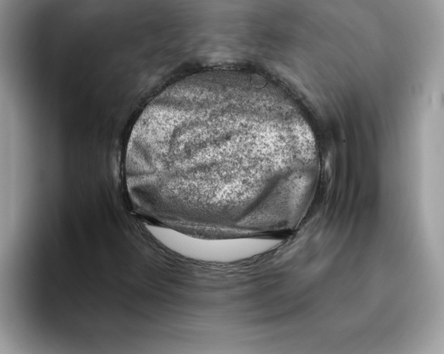 X0000093431348200711091428